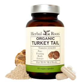 Organic Turkey Tail Mushroom